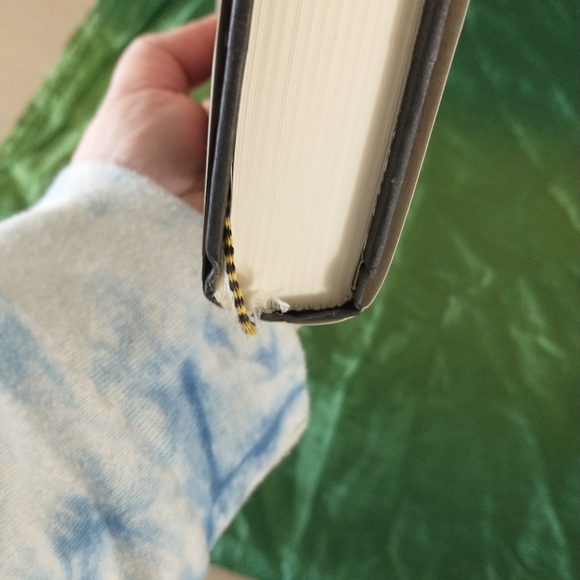 The Vampire Armand Hardcover by Anne Rice - Picture 3 of 6